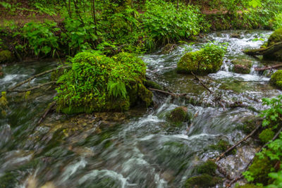 River flowing through rocks