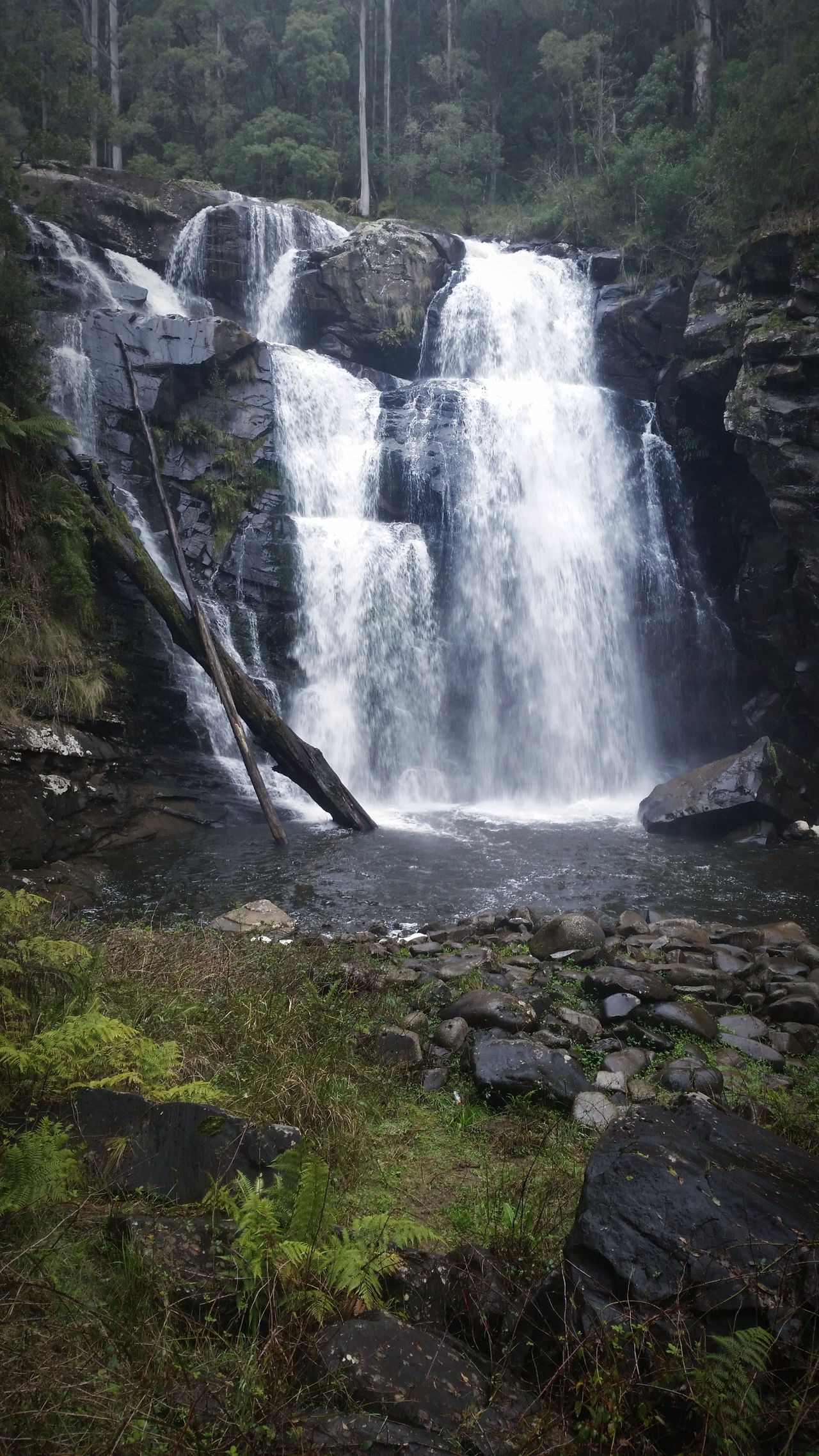 Stevensons Falls