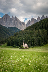 Scenic view of field and mountains against sky