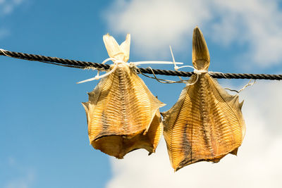 Low angle view of clothes hanging against sky