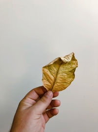 hand