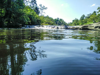 Scenic view of lake in forest against sky