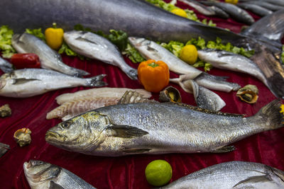 High angle view of fish for sale in market