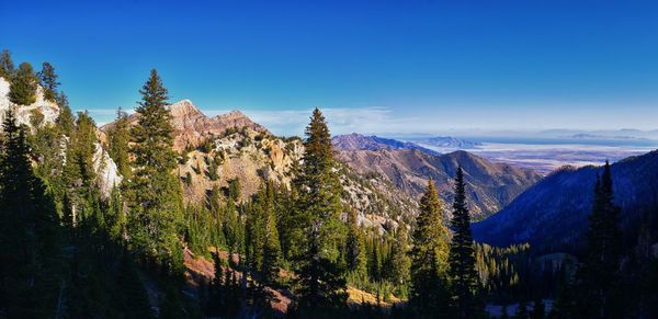 scenics - nature