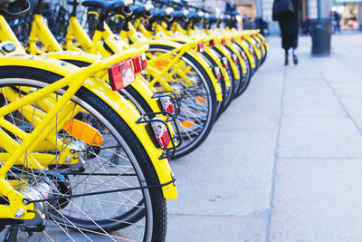 Bicycles parked on street