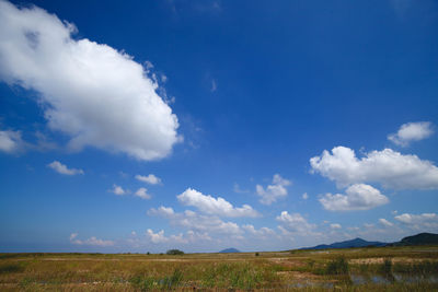 Scenic view of field against sky