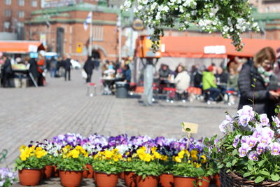 Flower pots at market stall in hakaniemen tori