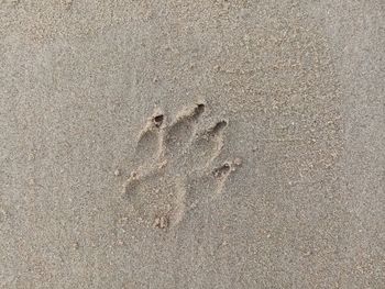 High angle view of footprints on sand