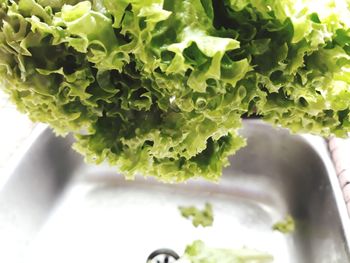 Close-up of chopped leaf on plate