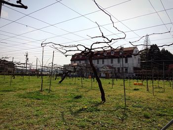 Built structure on grassy field