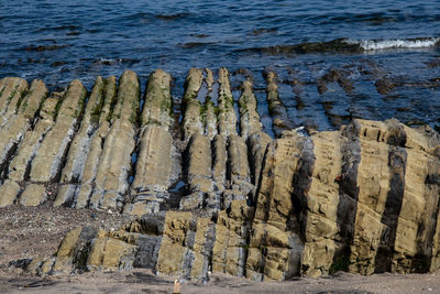 High angle view of rocks on beach