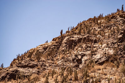 Low angle view of rocky mountains against clear sky