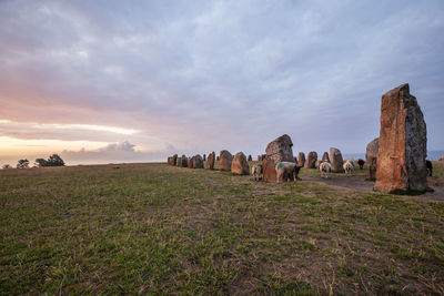 Panoramic view of tourists on field against sky