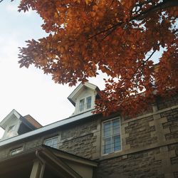 Low angle view of building