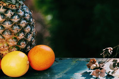 Close-up of pineapple and oranges on retaining wall