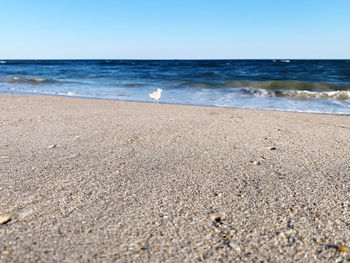 Scenic view of beach against clear sky