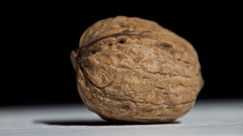 Close-up of bread against black background