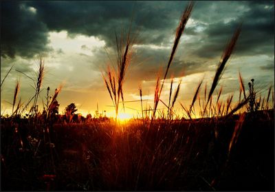 Scenic view of landscape at sunset