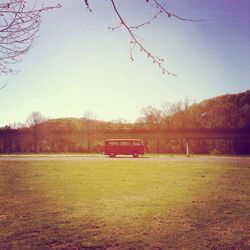 Bare trees on field