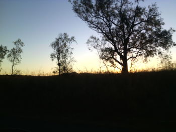 Silhouette of trees on landscape at sunset