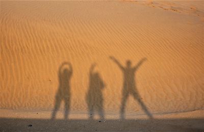 Shadow of people on sand dune