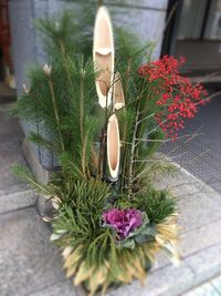 Close-up of flower bouquet