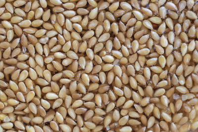 Full frame shot of seeds