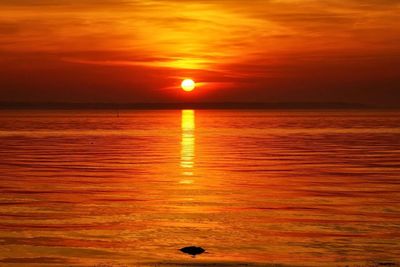 Scenic view of sea at sunset