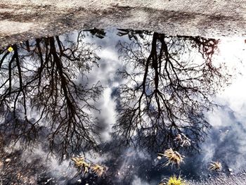 Reflection of clouds in water