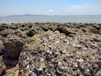 Rocks on beach against sky