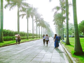 People walking on road amidst trees against sky