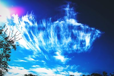 Low angle view of trees against blue sky