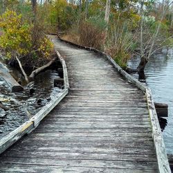 Footbridge over river