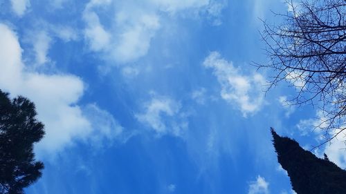 Low angle view of silhouette trees against blue sky