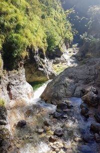 Scenic view of rock formation amidst trees against sky