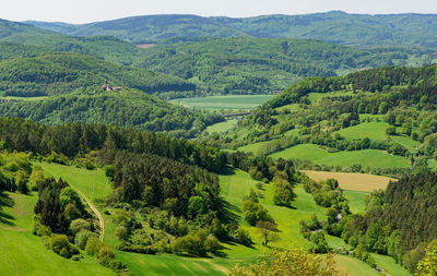 High angle view of trees on field
