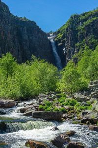 Scenic view of stream flowing through rocks in forest