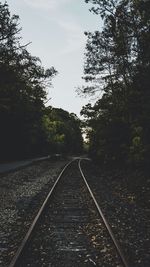 Railway tracks amidst trees against sky