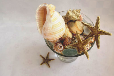 High angle view of seashell decoration on table