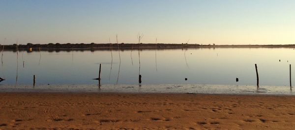 Scenic view of beach against clear sky