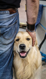Midsection of man with dog