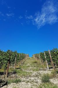 Panoramic view of landscape against blue sky