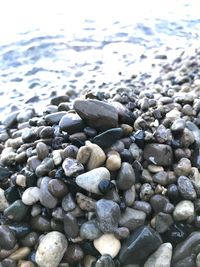 Full frame shot of pebbles