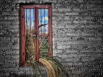 Close-up of window