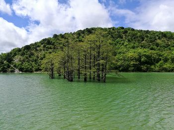 Scenic view of lake in forest against sky