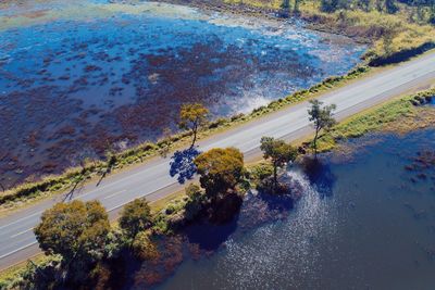High angle view of vehicles on road by trees