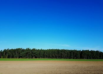 Trees on field against clear blue sky