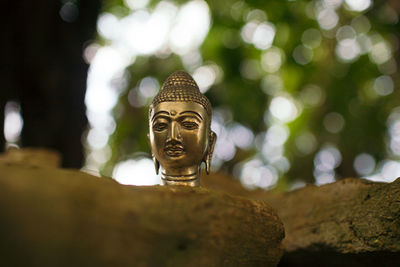 Close-up of statue