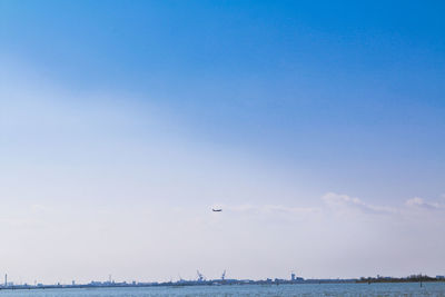 Birds flying over sea against sky