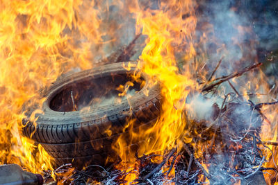 Bonfire on wooden log